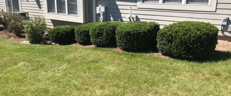 Paver patio with seating area and surrounding landscape beds.