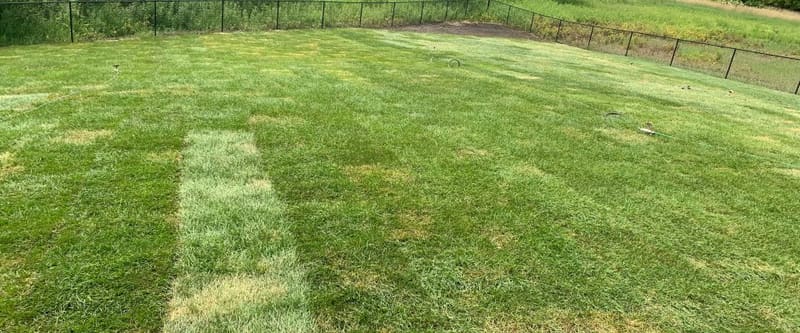 Contract & Design-Build by Legacy Landscaping.