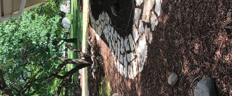 Day Cares & Senior Living by Legacy Landscaping.